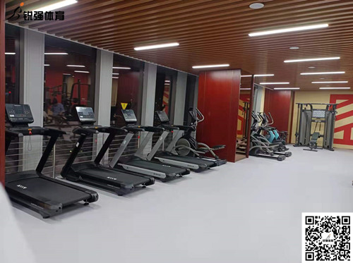 锐强体育完成的济南某部门单位健身房